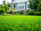 Plantarea gazonului: cum si cand se seamana gazonul pentru o peluza perfecta Carpatik.ro
