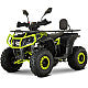 ATV de Copii RDB AFP125, 125cc, 4 Timpi, 45 km/h