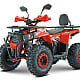 ATV RDB AY125