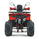 ATV RDB AY125