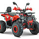 ATV RDB AY125