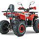 ATV RDB AY125