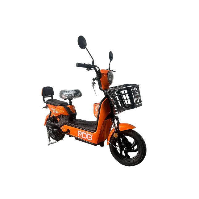 SCUTER ELECTRIC RDB YG4