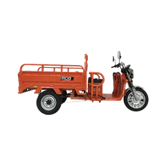 TRICICLU ELECTRIC RDB XL-KLASS4